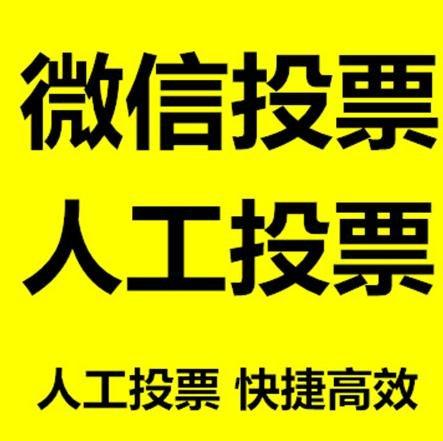临沧市投票活动拉票能被查出来吗？如何操作能不被发现？
